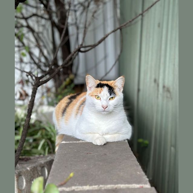 Photo of Marjorie