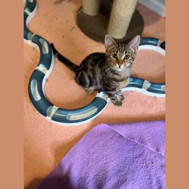 Photo of Quincy   Located In Preston From October 18