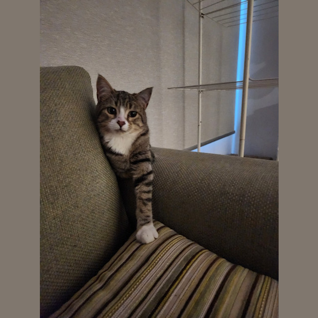Photo of Theo