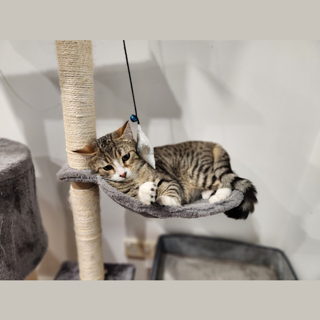 Photo of Theo