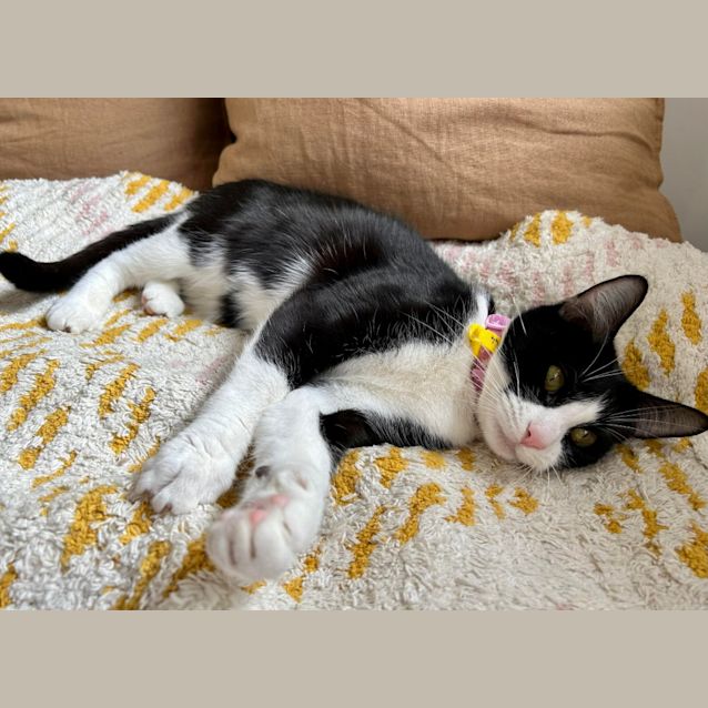 Photo of Jasmine