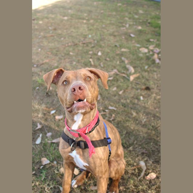 Photo of Molly