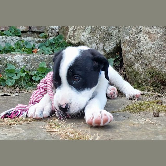 Photo of Murphy