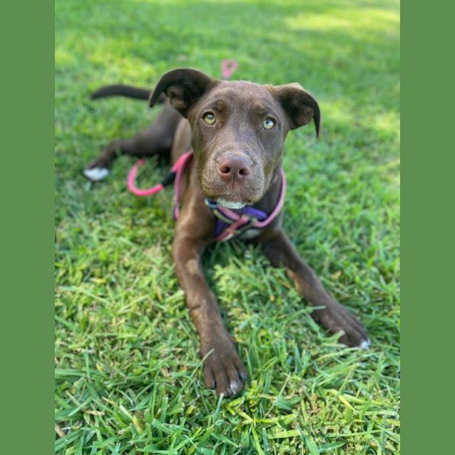 Photo of Lulu
