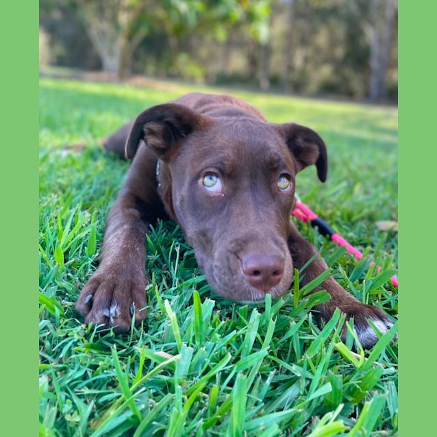 Photo of Lulu
