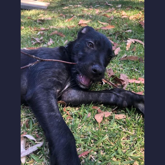 Photo of Nyx