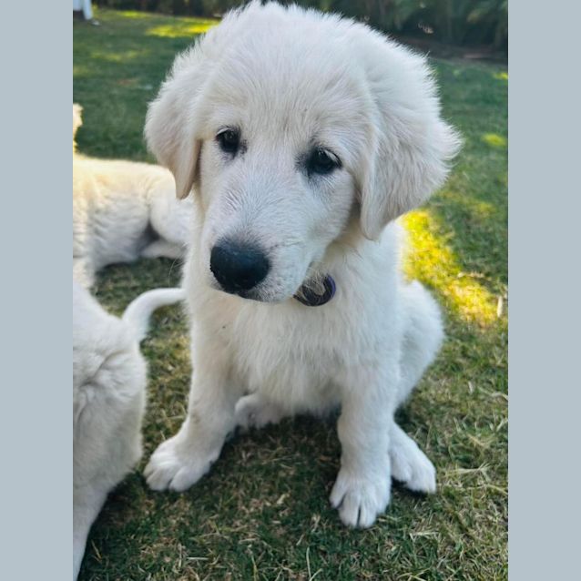 Photo of Mia