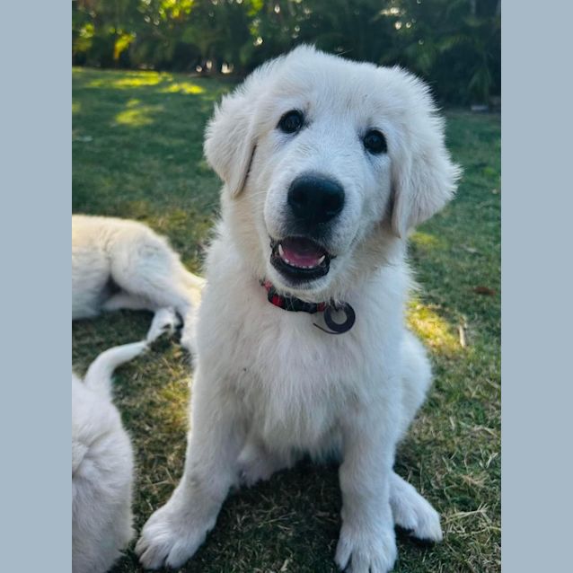 Photo of Mia