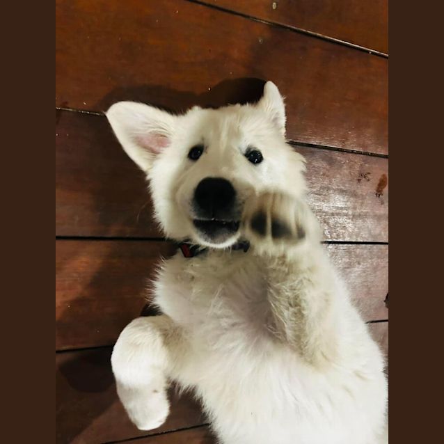 Photo of Mia