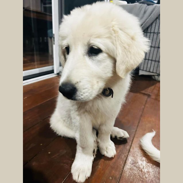 Photo of Mia