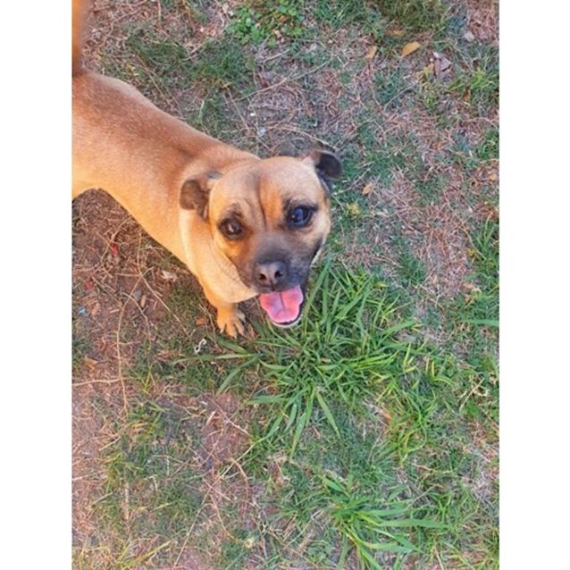 Photo of Angel
