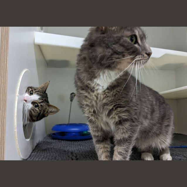 Photo of ♦ Eira F02625 ♦