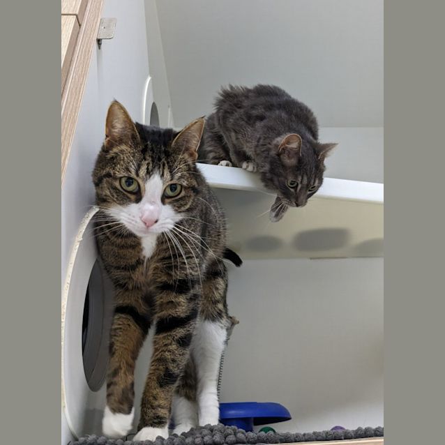 Photo of ♠Friday F02624 ♠