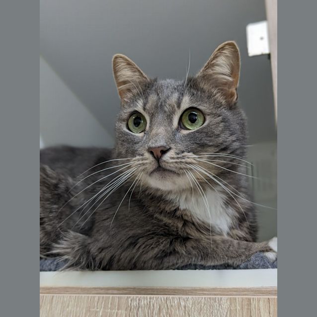 Photo of ♠Friday F02624 ♠