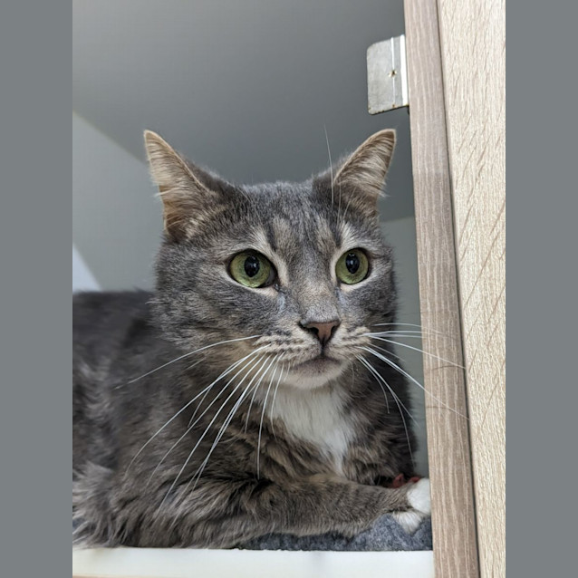 Photo of ♠Friday F02624 ♠