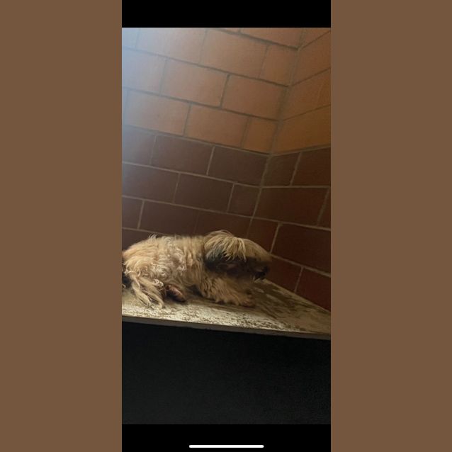 Photo of Bridget Bardot 