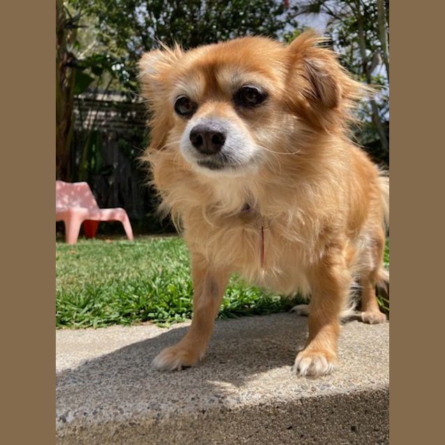 Photo of Elsie
