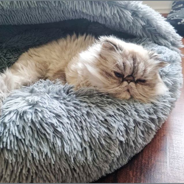 Photo of ⛈Stormy⛈