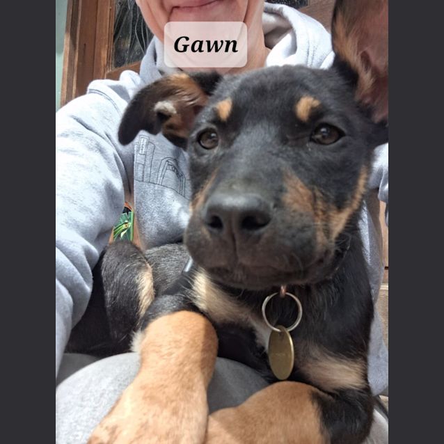 Photo of Gawn