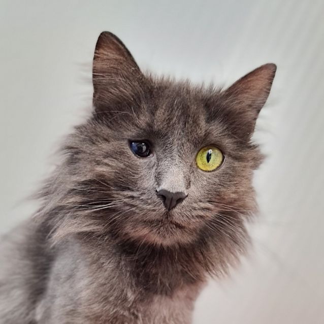 Photo of Lillith