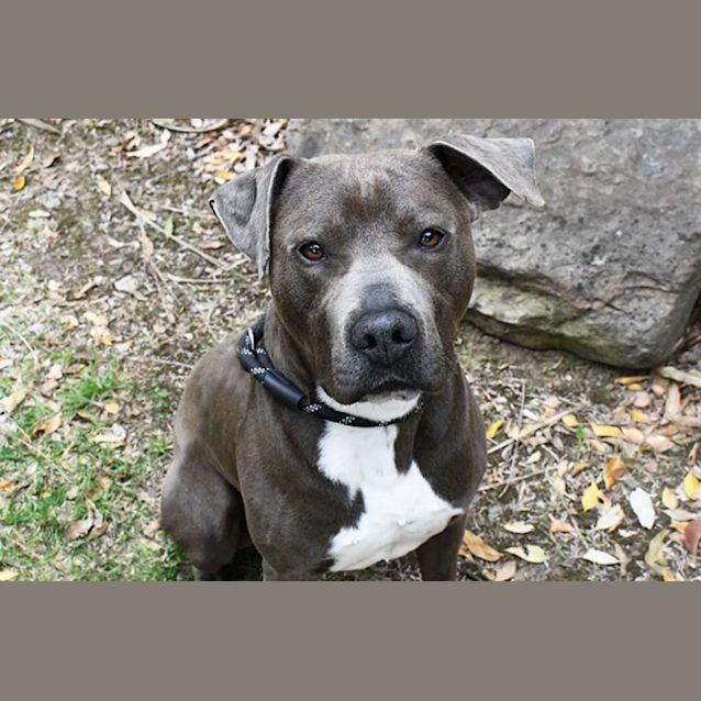 Photo of Sault 35431