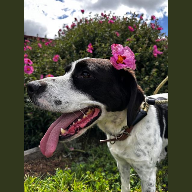 Photo of Charlie