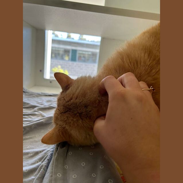 Photo of Gregory (1318)