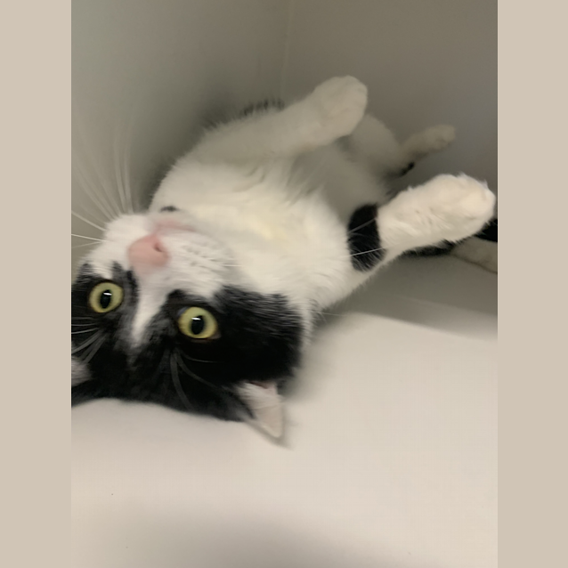 Photo of Murphy