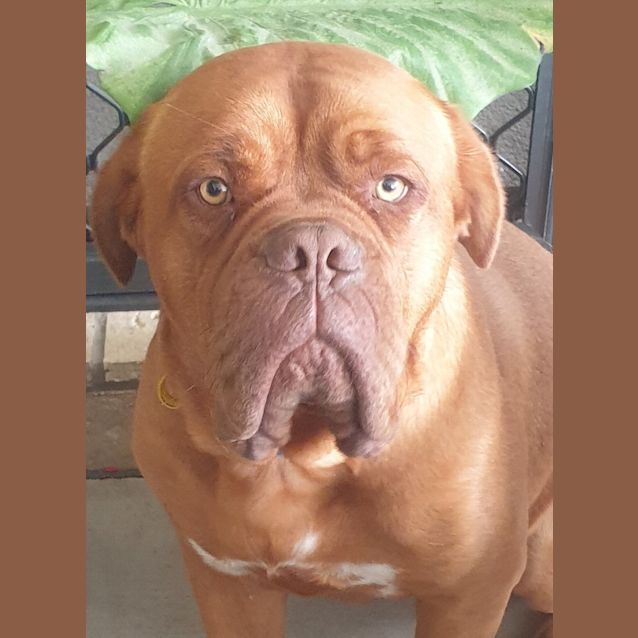 Photo of Owen
