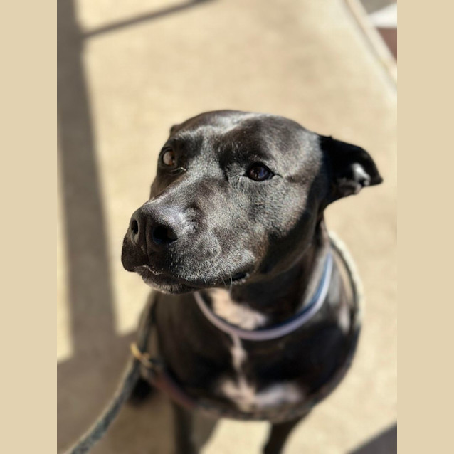 Photo of Mia