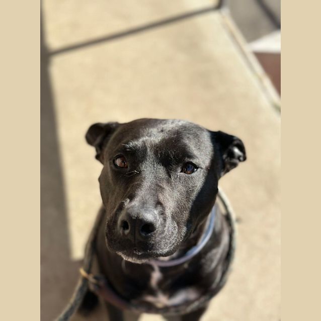 Photo of Mia