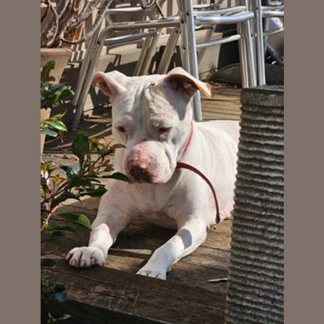 Photo of Angel