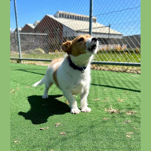 Photo of Ted