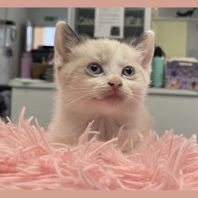 Photo of New Kids On The Block