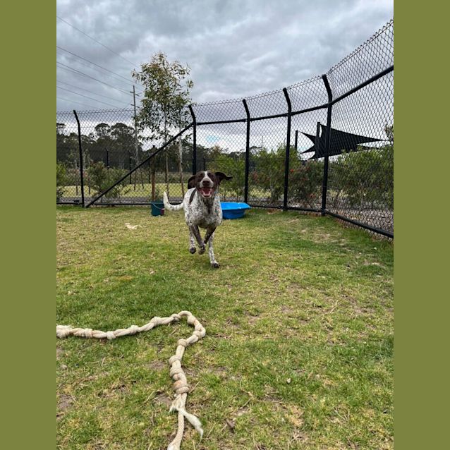 Photo of Olga Imp 1430