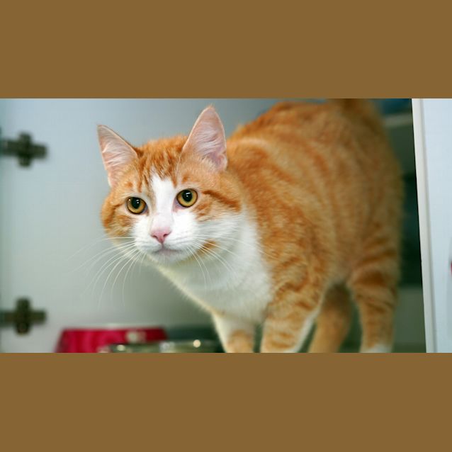 Photo of Alfonso 