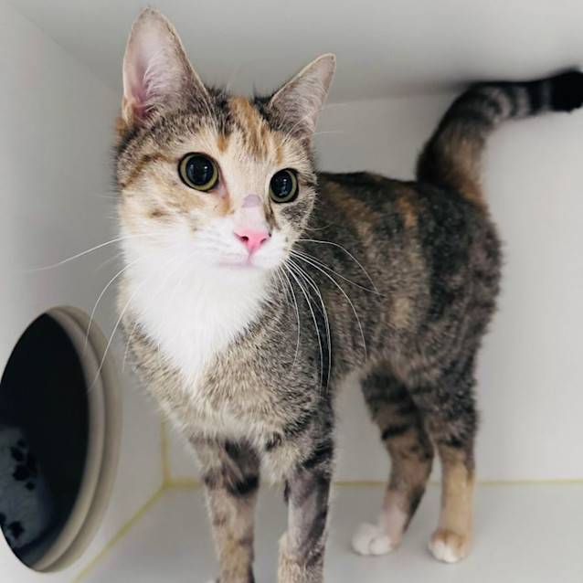 Photo of Maeve   Located In Preston