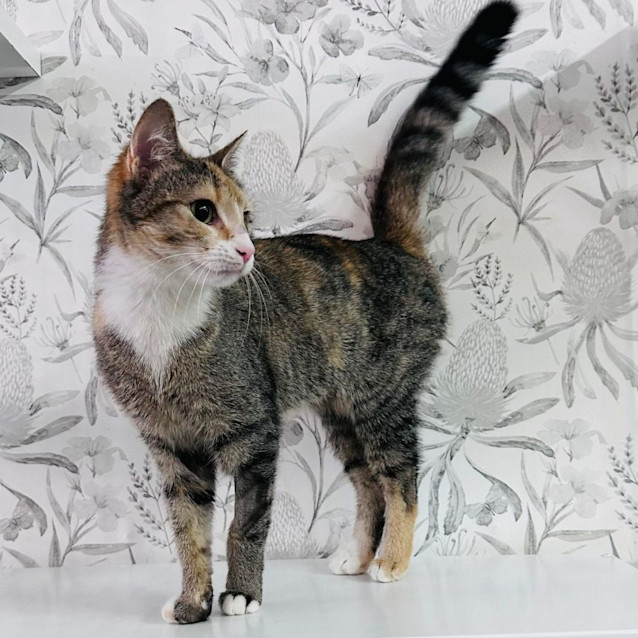 Photo of Maeve   Located In Preston