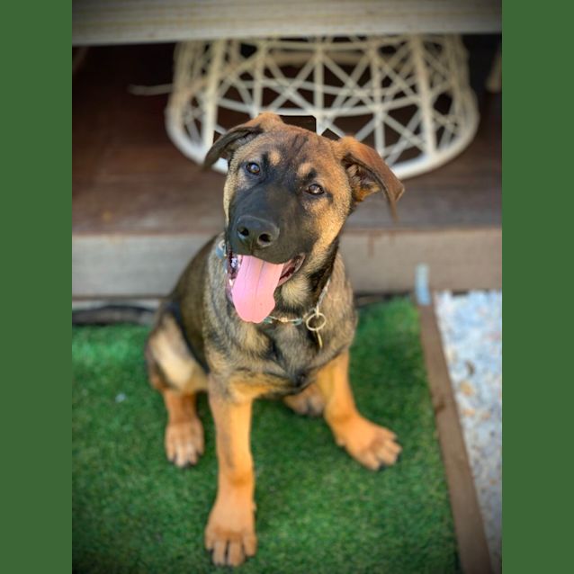 Photo of Wittamer 
