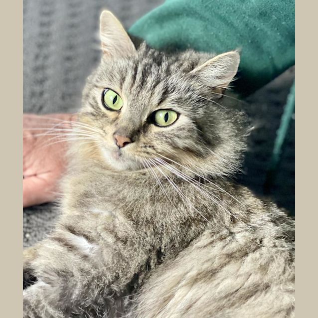 Photo of Miss Sugar N Spice