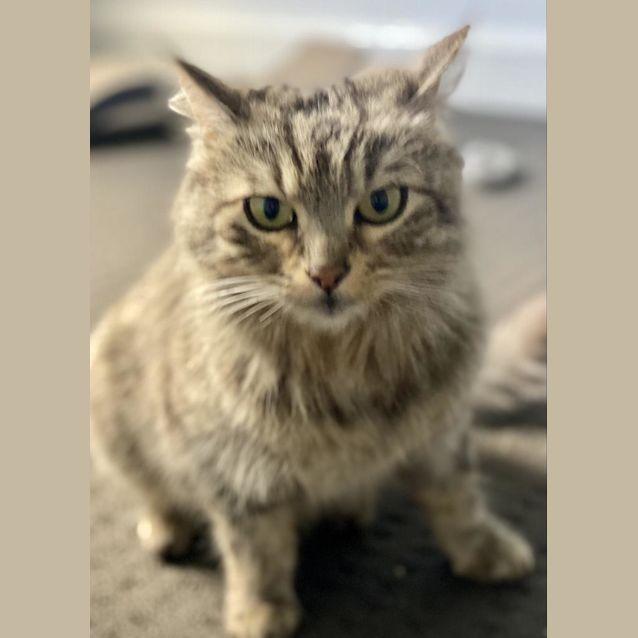 Photo of Miss Sugar N Spice