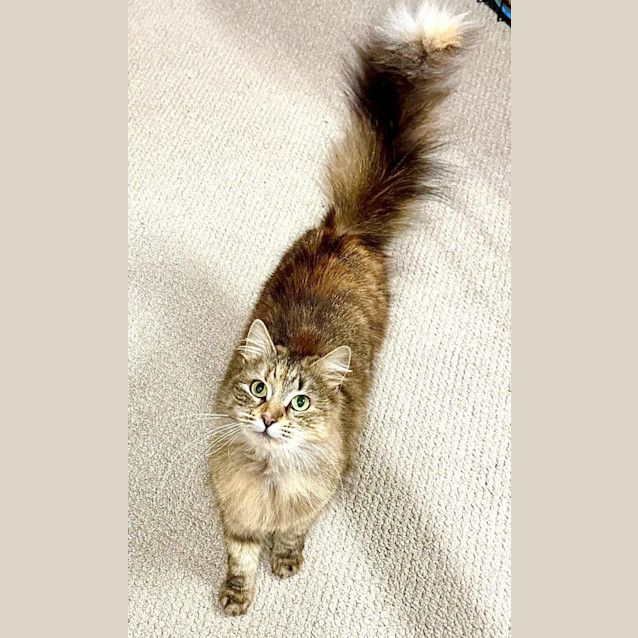 Photo of Queen B