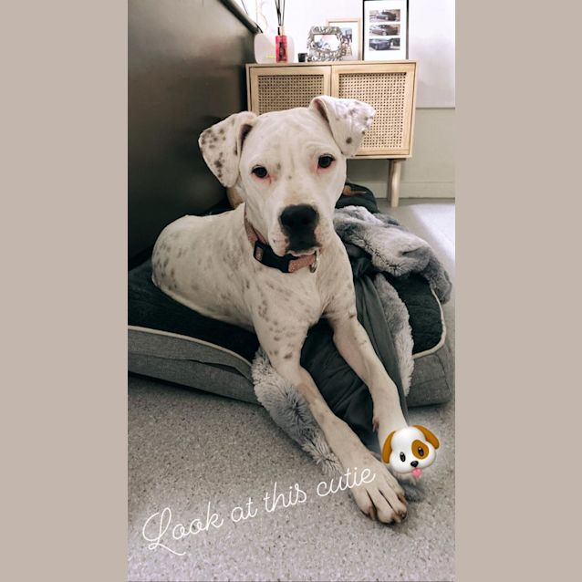 Photo of Bella Aka Stella 