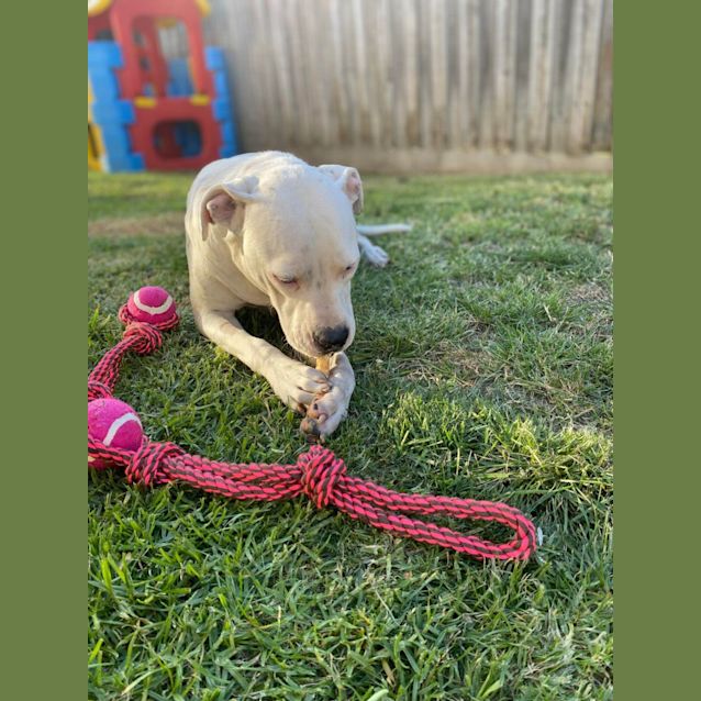 Photo of Bella Aka Stella 