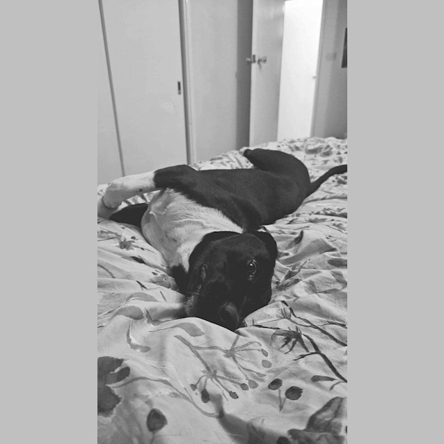 Photo of Candy