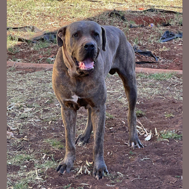 Photo of Major