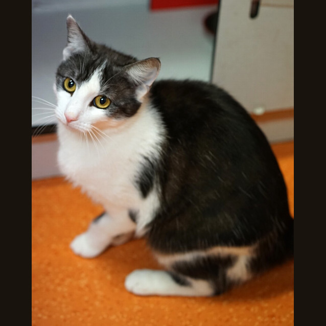 Photo of Missy