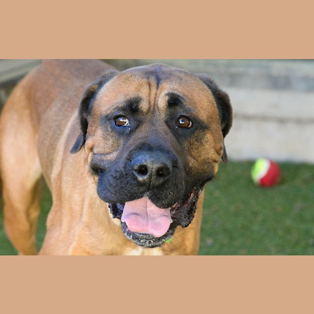 Photo of Barney