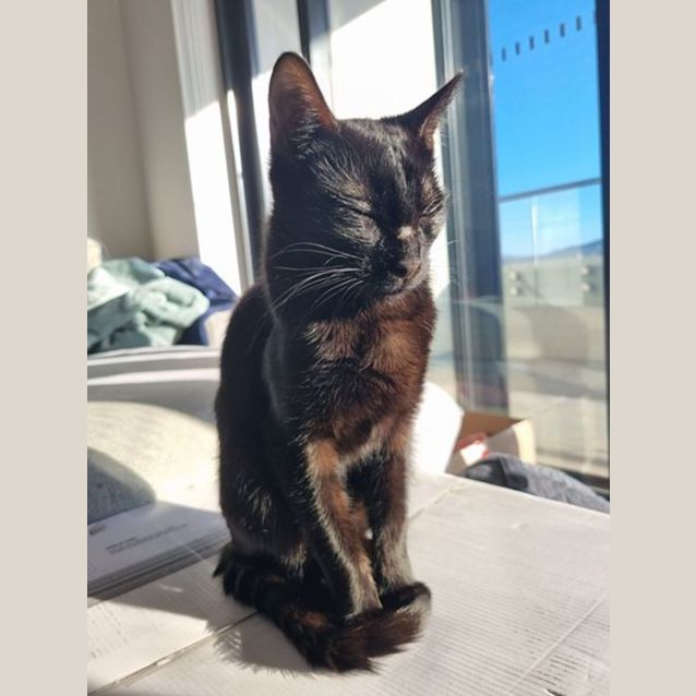 Photo of Persephone
