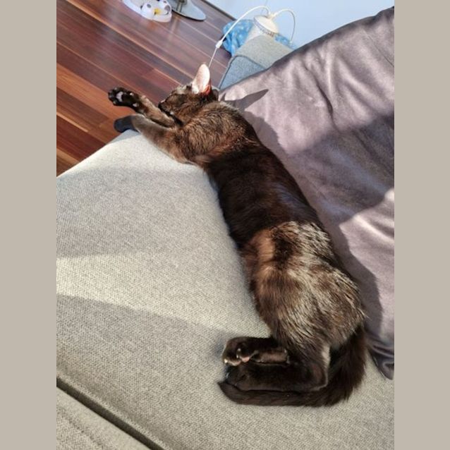 Photo of Persephone